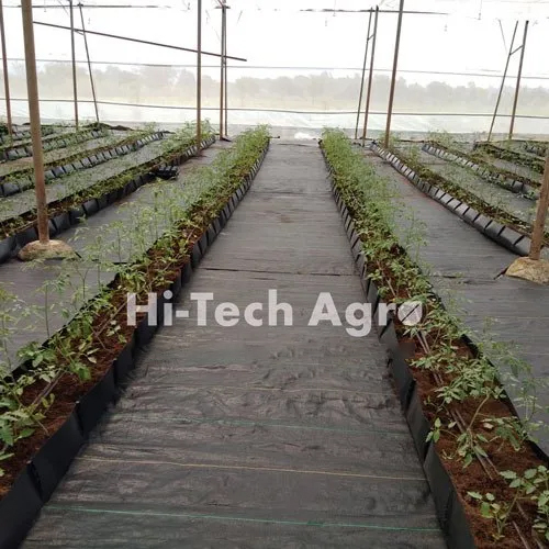 Mat Ground Covers