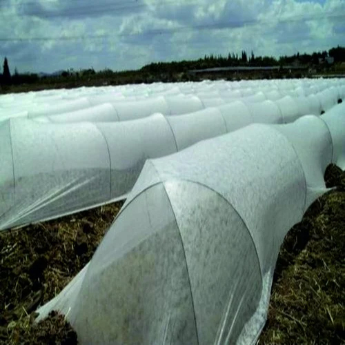 Agriculture Crop Cover