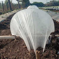 Agricultural Ground Crop Covers - Base Material: Non Woven Fabric