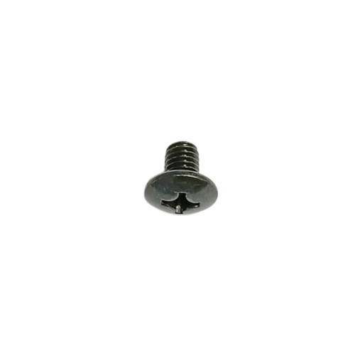 Trust Head Screw - Color: Silver