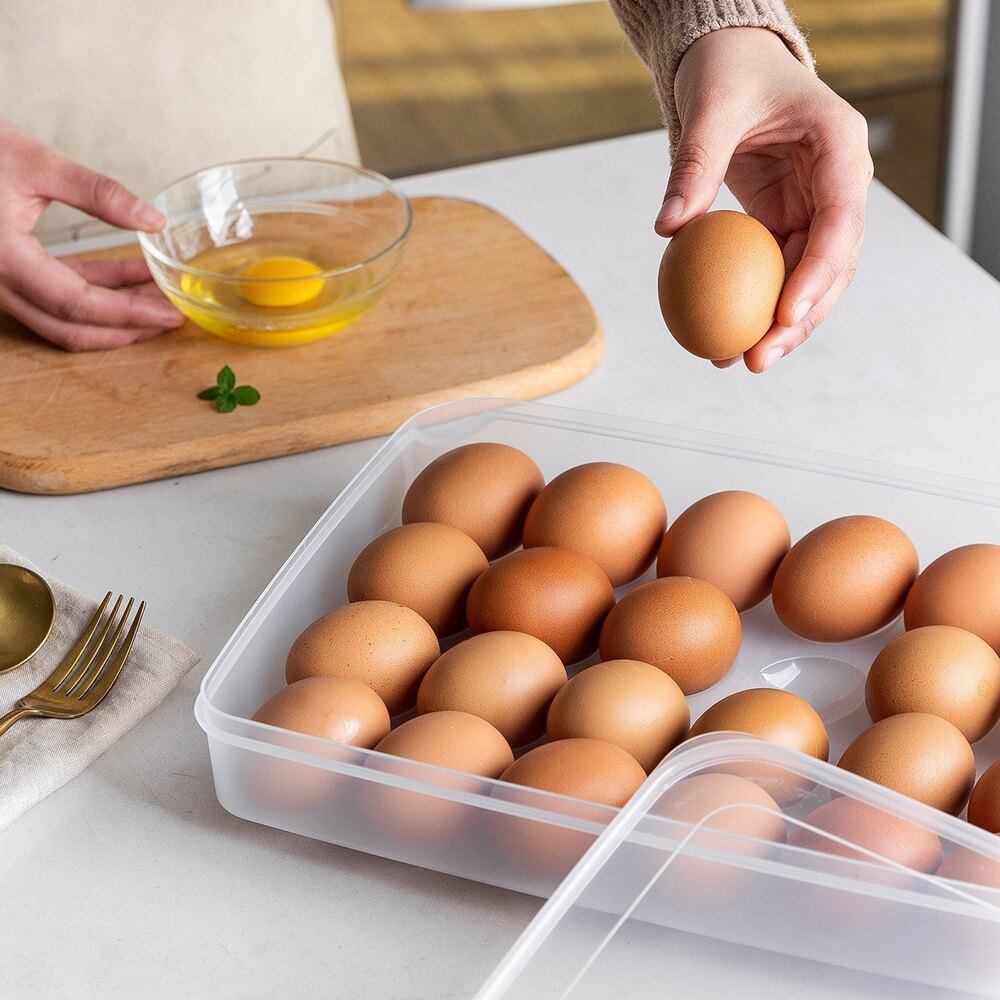 24 Grid Egg Storage Box - Eco-friendly Plastic, Rectangle Shape, Transparent Color | Smooth Surface Finishing, Plain Style For Organized Storage