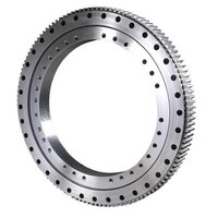 Slew Ring Bearing - Color: Silver