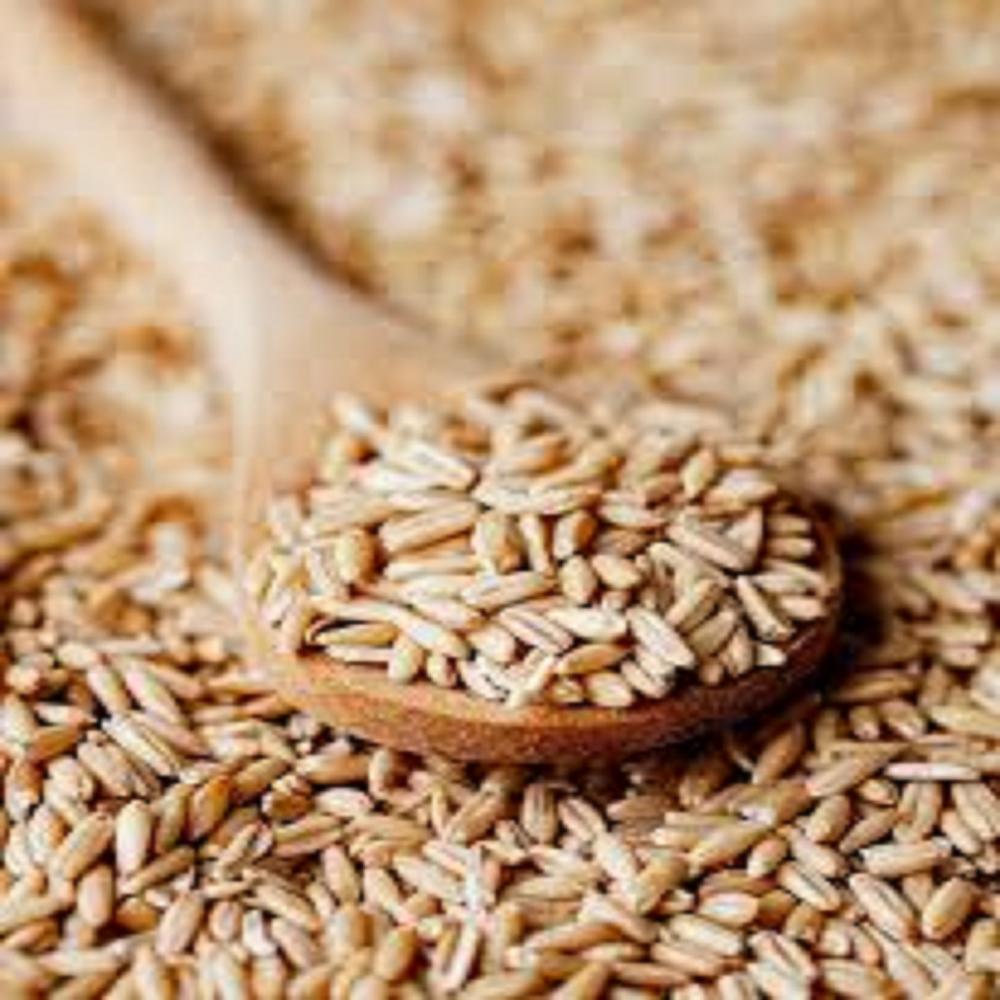 Oat groats