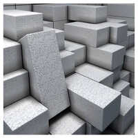 Fly Ash Bricks