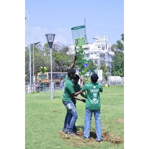 Sapling Protector - Color: Green
