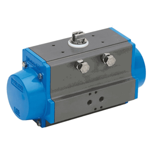 Pneumatic Actuator