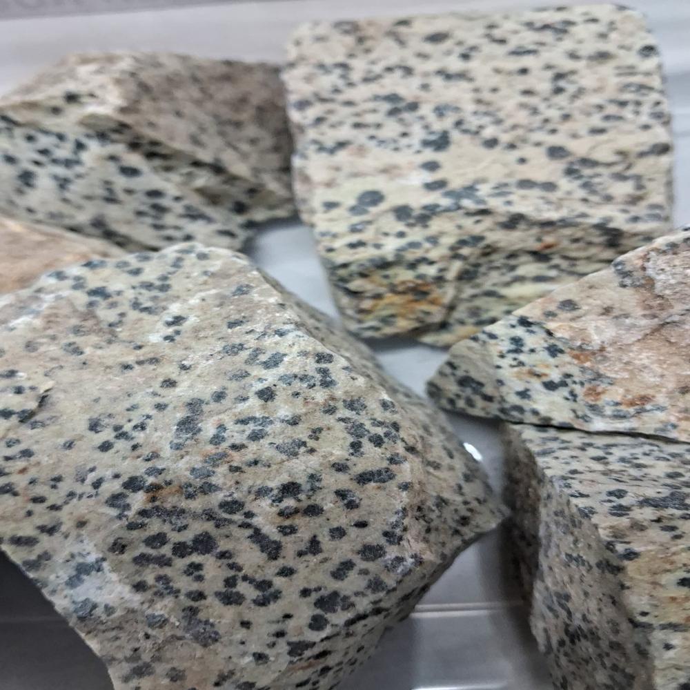 Dalmation Rough Stone