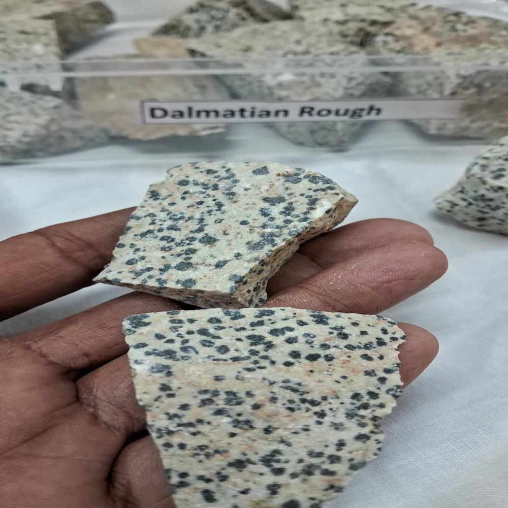 Dalmation Rough Stone - Color: B