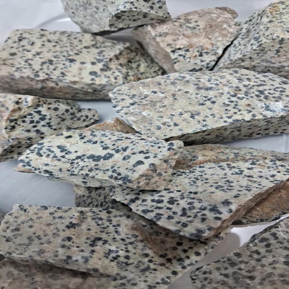 Dalmation Rough Stone - Color: B