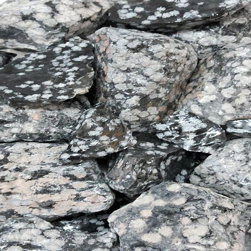 Snowflake Obsidian Rough stone