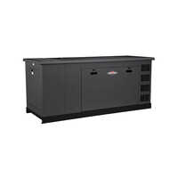 Briggs And Stratton 48kw Ng Lp Standby Liquid Cooled Generator - Phase: Three Phase