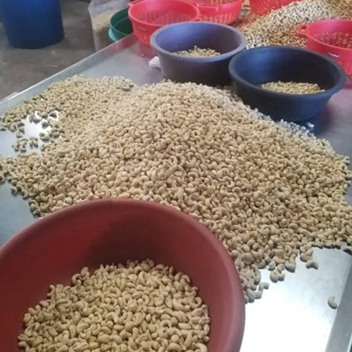 Cashew Nuts