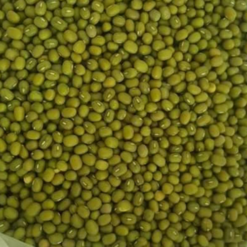 Green Mung Beans - Cultivation Type: Organic