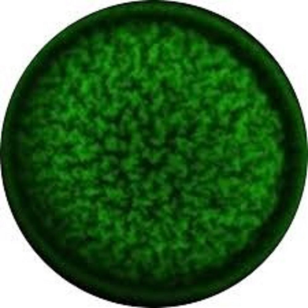Encapsulated probiotics