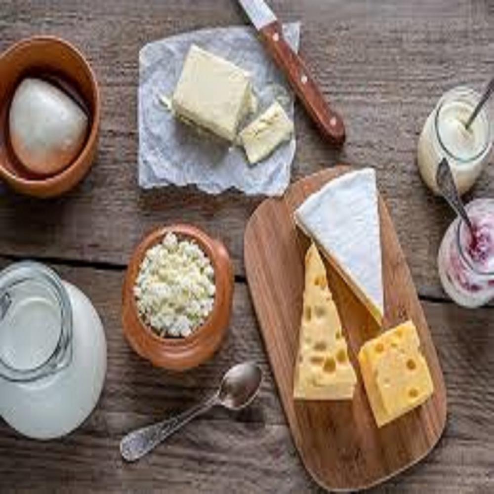 Low-lactose milk protein isolate
