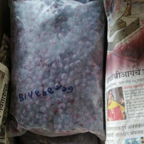 Frozen Blueberry
