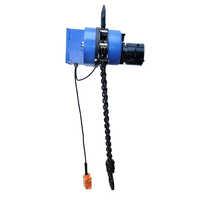 2 Ton Ss Chain Hoist - Color: Blue