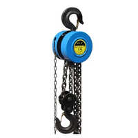 2.5 Industrial Hoist - Capacity: 5 Ton