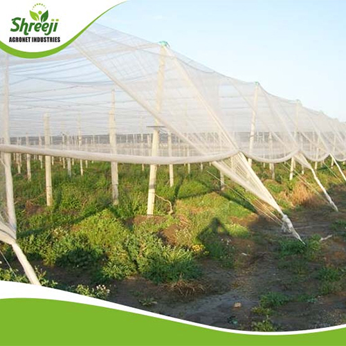Mono Filament Shade Net - Color: White
