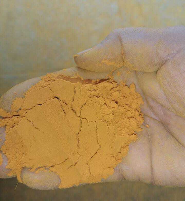 FRESH TURMERIC