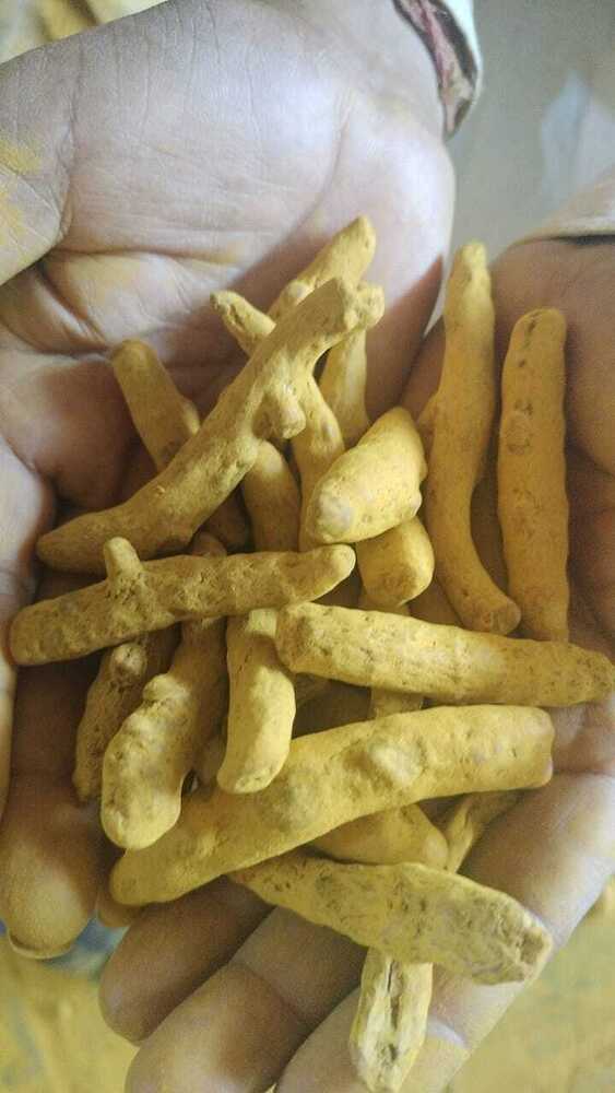 Fresh Turmeric - Age Group: Infants