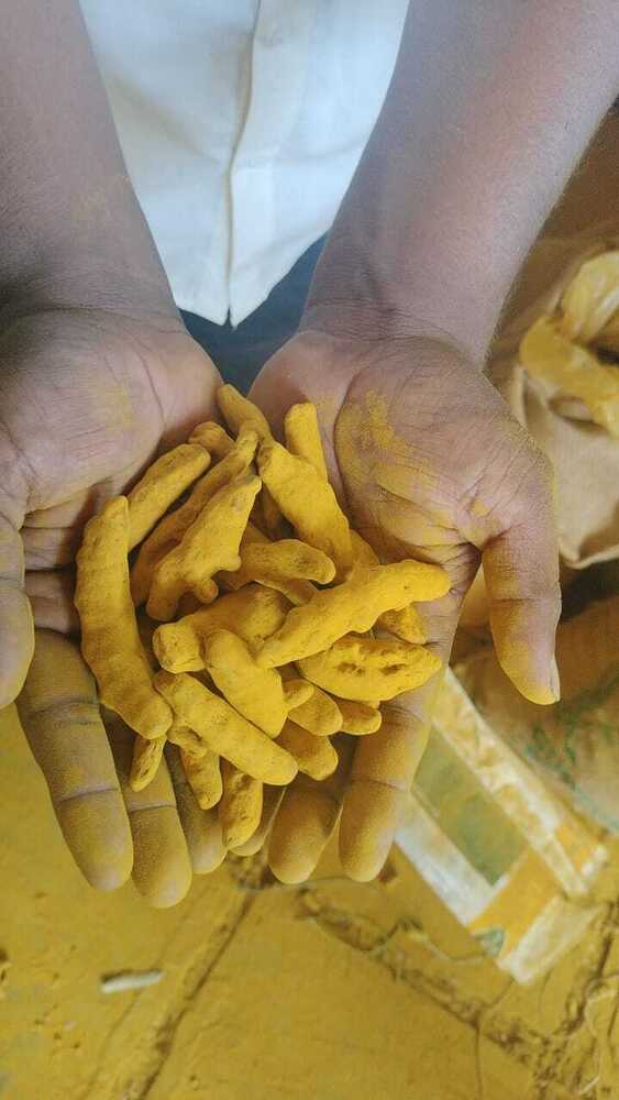Fresh Turmeric - Age Group: Infants