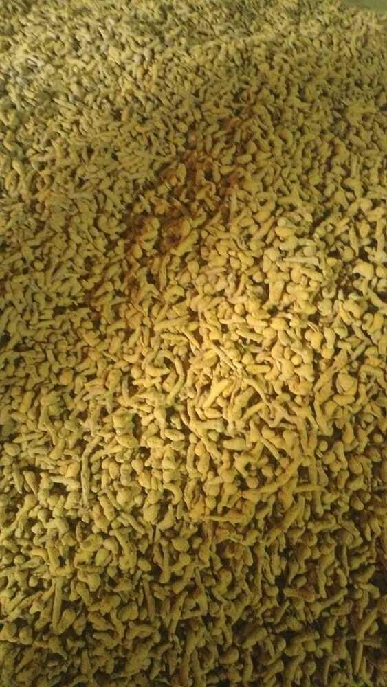 FRESH TURMERIC