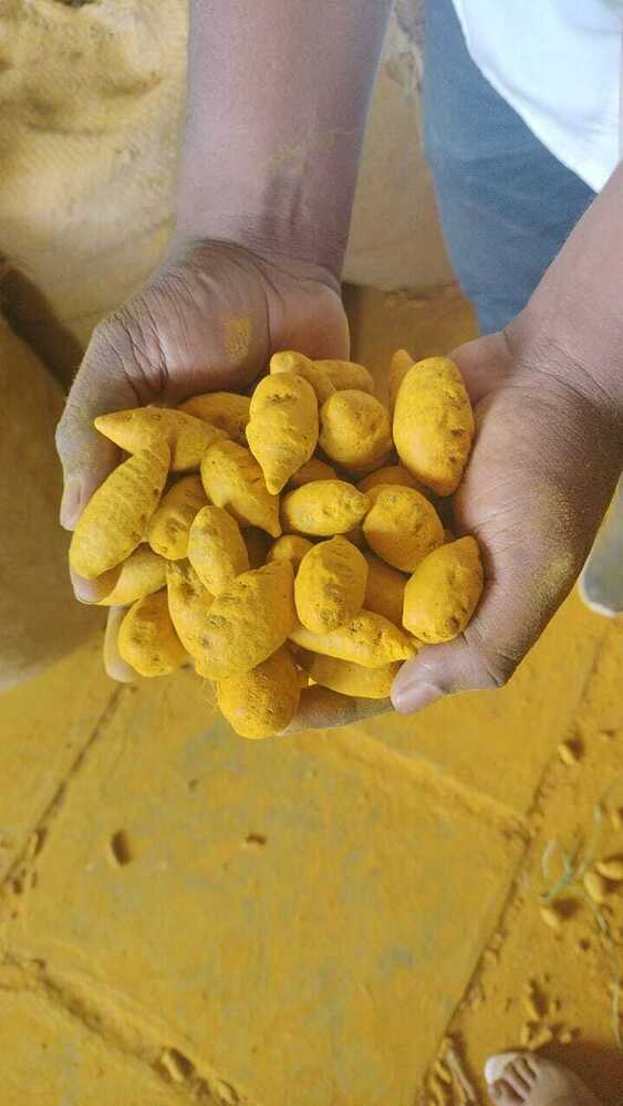 Fresh Turmeric - Age Group: Infants