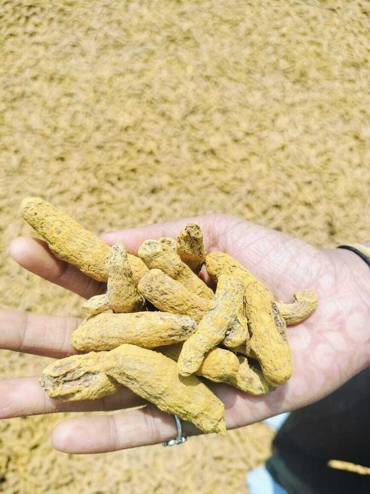 Fresh Turmeric - Age Group: Infants