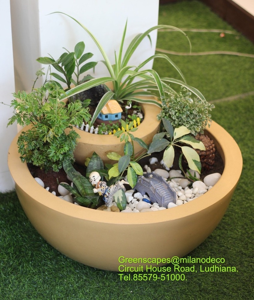 BOWL SHAPE 24