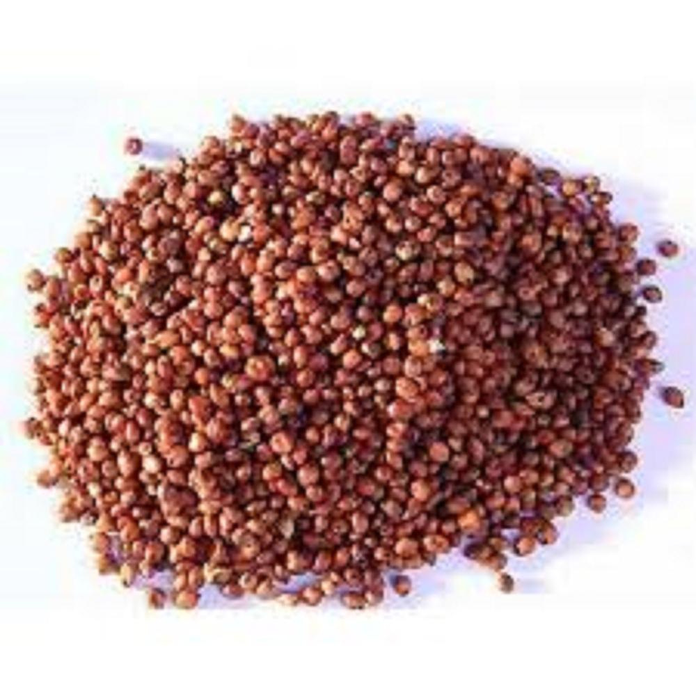 Red sorghum grain