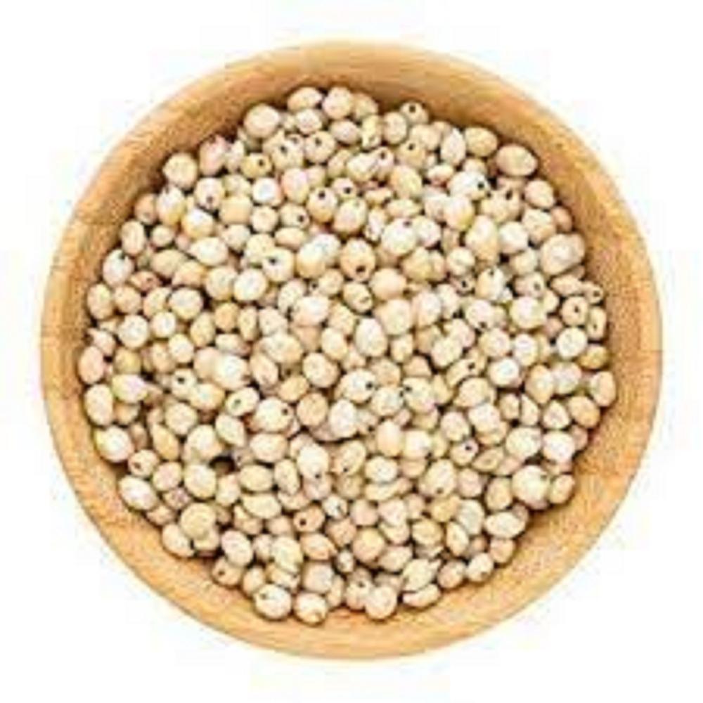 White sorghum grain