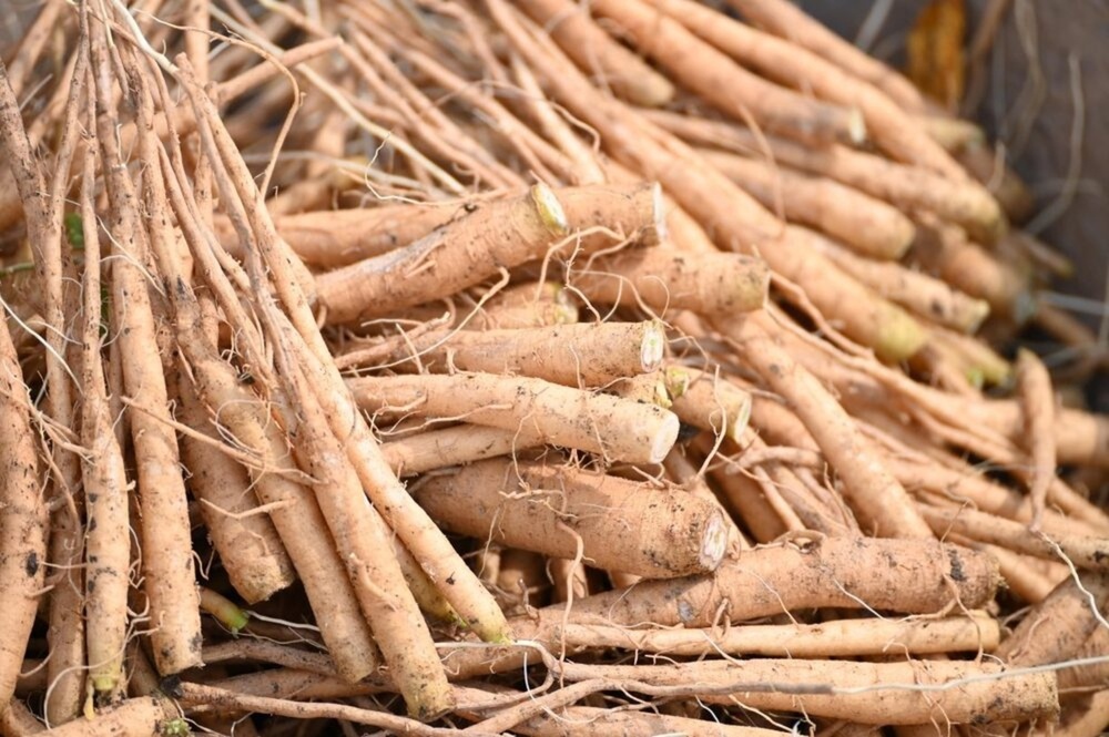 Ashwagandha Root Powder - Grade: Body & Personal Care