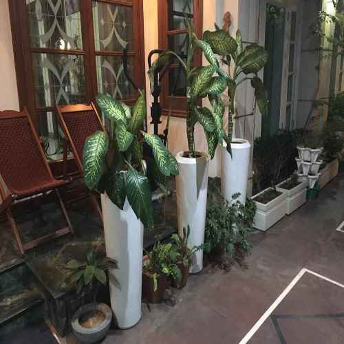 conical planter