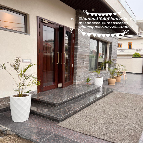 व्हाइट डायमंड प्लांटर