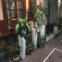 White Diamond Planter