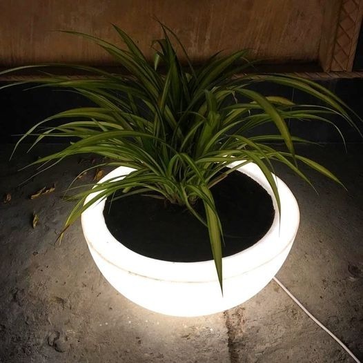 एलईडी बाउल शेप पौधों का गमला