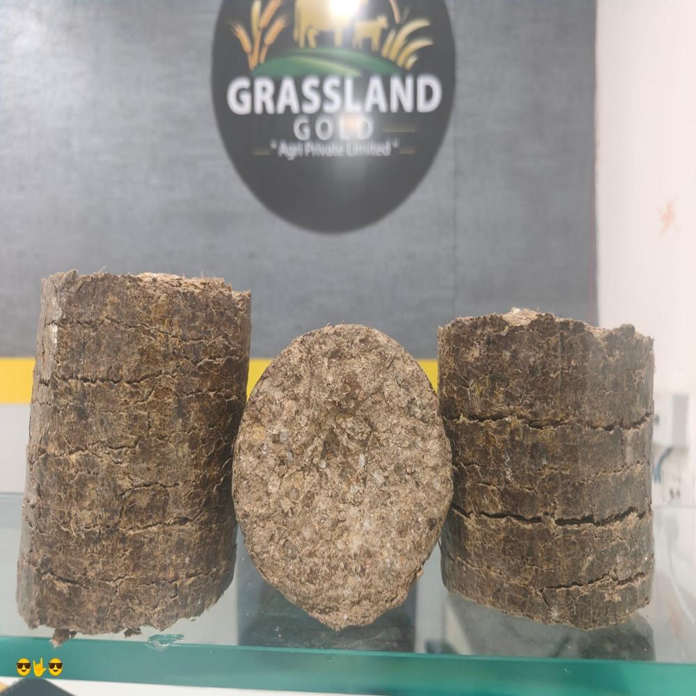 Biomass 90 Mm Briquettes Ground Nut Shell