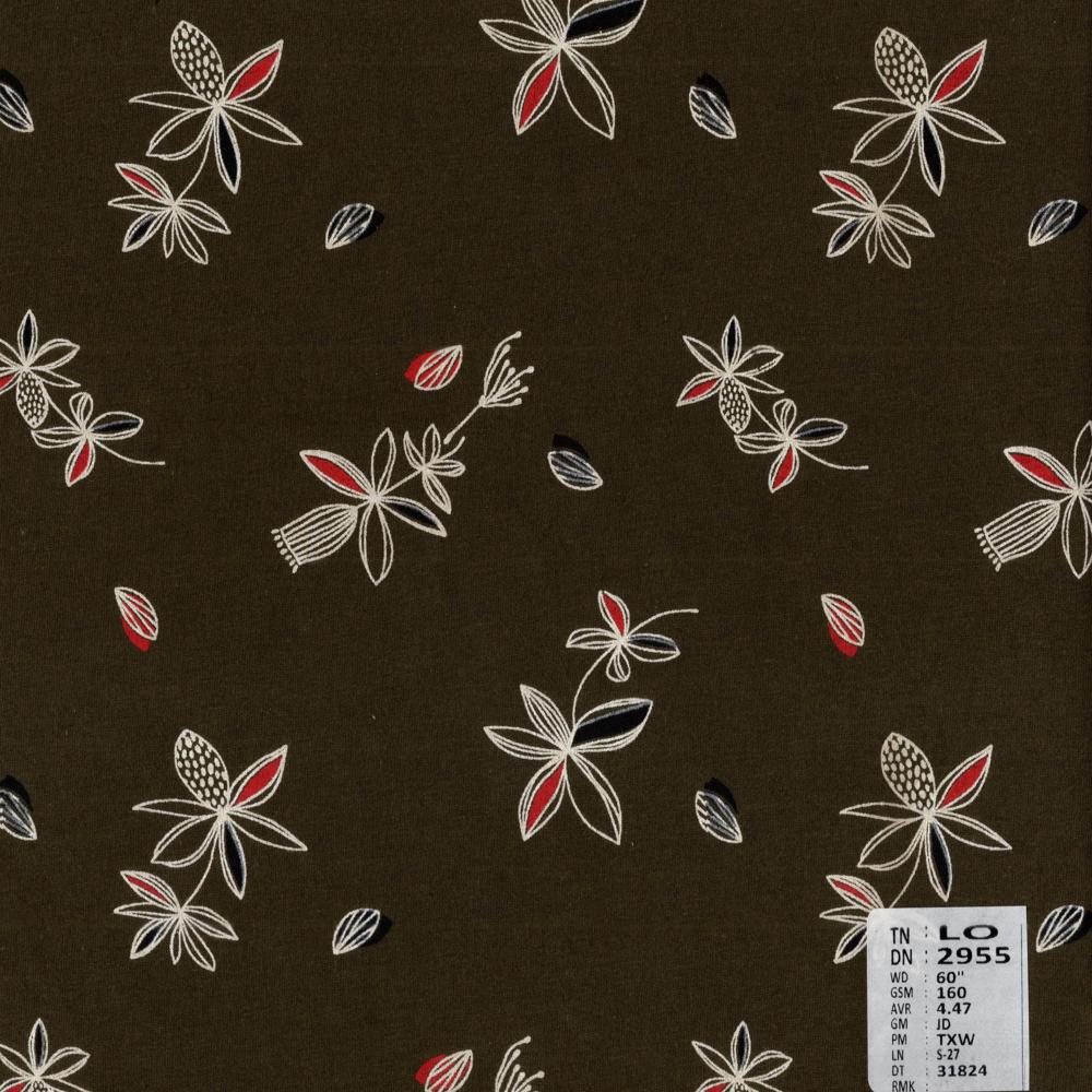 2955 ctn hosiery