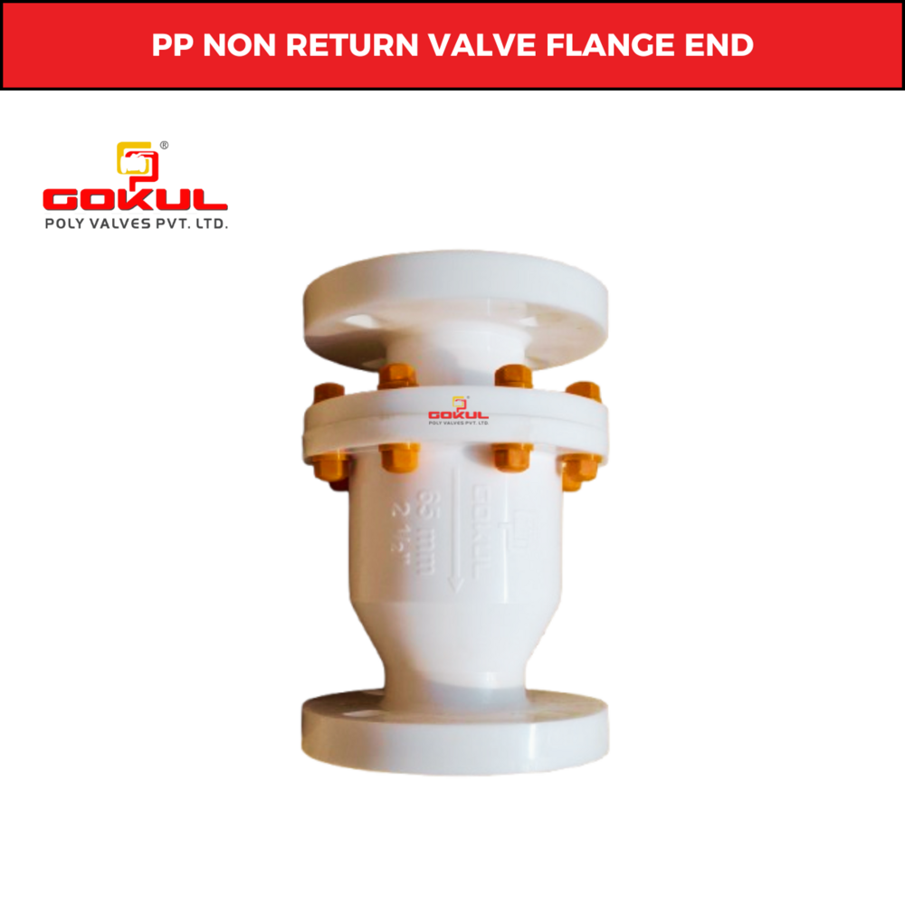 Gokul PP Foot Valve Flanged