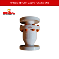Gokul PP Foot Valve Flanged
