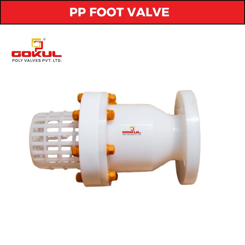 6 Inch FPT Cast Iron Foot Valve - Assembled, Red - Industrial Supply DFVS60