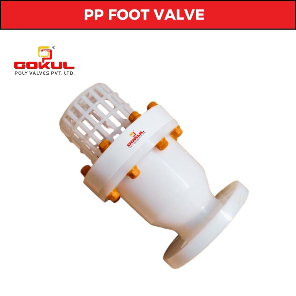PP Foot Valve Flange Type
