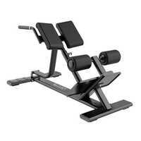 Back Extension A-7045 - Application: Gain Strength