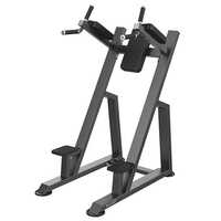 Vertical Knees Up - Dip A-3047 - Application: Gain Strength