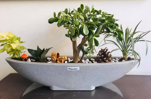Boat Shape planter