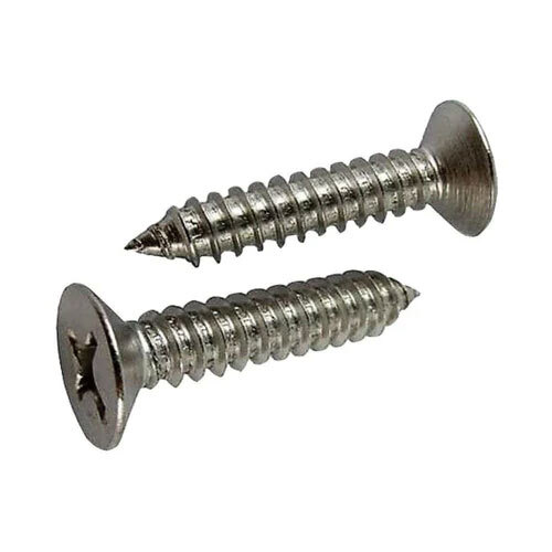 Ss Self Tapping Screw - Color: Silver