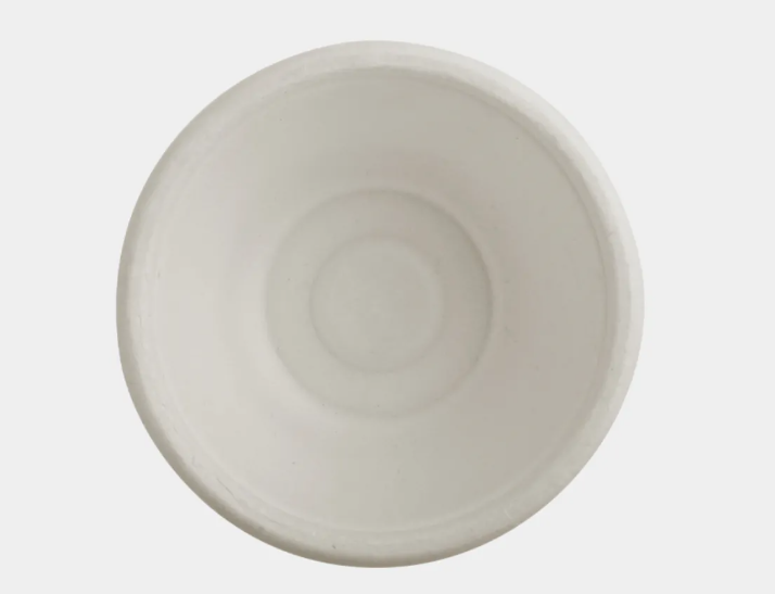 Bagasse Bowl