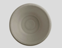 Bagasse Bowl