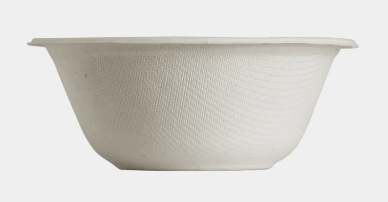 Bagasse Bowl